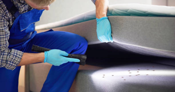 Best Wasp Removal Services  in Lakeview, OH